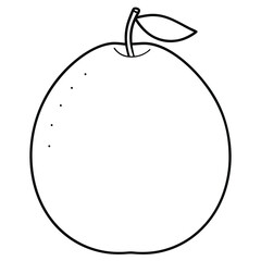 A simple line drawing of an orange with a leaf and a stylized background.