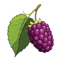 A colorful illustration of a cluster of grapes with green leaves.