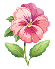 A vibrant pink and purple pansy flower illustration with green leaves.