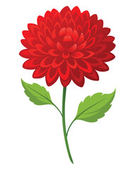 A vibrant red flower with layered petals and a green leaf, symbolizing beauty and nature.