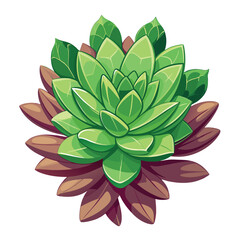 A vibrant illustration of succulent plants with detailed leaves.