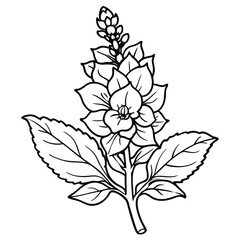 A line art illustration of a succulent plant with detailed leaves and a floral structure.