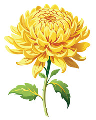 A vibrant yellow chrysanthemum flower, showcasing intricate petal patterns and textures.
