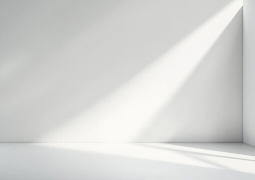 Background wall floor shadow grey leaf white light kitchen abstract studio product minimal room marble mockup display stage scene platform shelf space pattern backdrop table product summer travel.