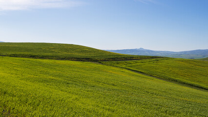 Obraz premium prati verdi in Toscana