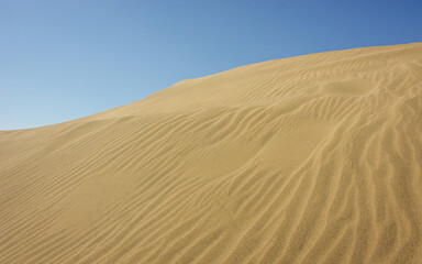 A sand dune in the desert with a blue sky