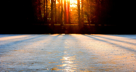 The sun coming up on a cold winter morning through the trees casting shadows on a frozen lake