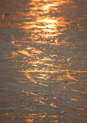 Close up photo of ice and snow with the sun reflecting on a frozen lake in the cold winter