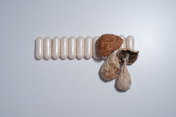Alternative medicine supplements and dietary drugs for microdosing. Psilocybe Cubensis mushrooms on white studio background, close up. Psilocybin shrooms Golden Teacher with pills, medical capsules