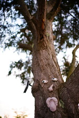 北海道夕張郡由仁町「見立の沢キャンプ場LAUGH TALE」