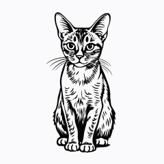 Tabby cat looking straight ahead, detailed sketch style with stripes and realistic fur texture. Concept: domestic animal, pet portrait, veterinary illustration.
