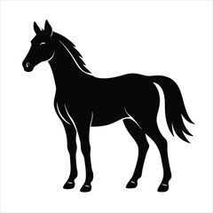 horse vector illustration
