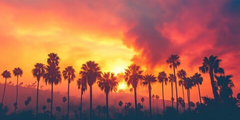 A stunning sunset paints the sky with vibrant colors, illuminating a palmlined horizon that captures the essence of relaxing summer evenings and the spirit of travel and holiday vibes