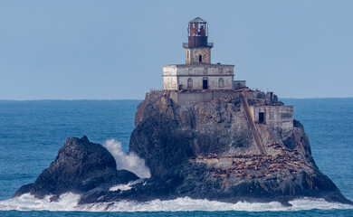 Sea lions populate Tillamook Lighthouse in Cannon Beach, Oregon, USA.