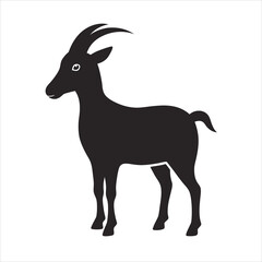 goat isolated on white background