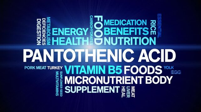 Pantothenic Acid Vitamin B5 animated word cloud;text design animation tag kinetic typography seamless loop.