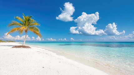Naklejka premium Tropical beach paradise; palm tree, turquoise water, white sand, sunny sky; travel poster