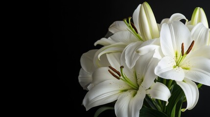 Fototapeta premium A vase filled with white flowers sits on a table, perfect for decorating or as a still life composition