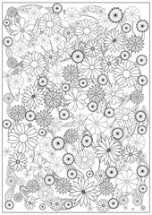 Vector coloring book for adults. Summer wild meadow flowers. Vector isolated elements