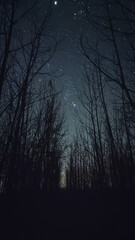 Fototapeta premium Starry night sky, relax, nature, wonder of infinity cosmos