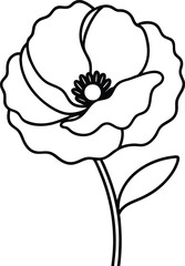 vector illustration of a flower
