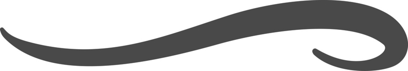 Swoosh line. Hand drawn swirl underline and squiggle. Doodle brush stroke, calligraphic flourish and curve elegant highlight for graphic design © Chorna_L