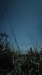 Starry night sky, relax, nature, wonder of infinity cosmos