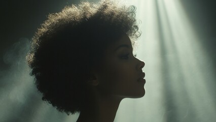 Silhouetted Woman with Afro Hair in Soft Lighting