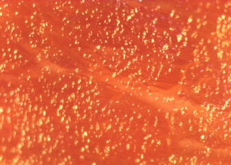 Meat, protein food in detail. Image under the microscope, micro photography. Science, study and...