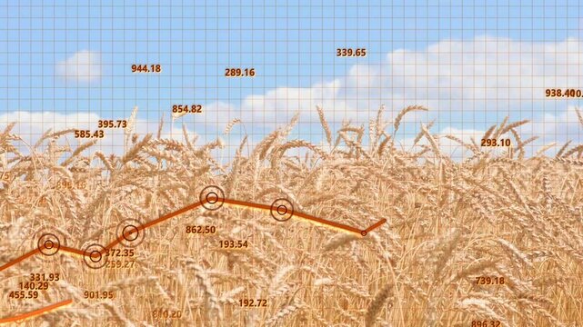 Growth charts overlaying golden wheat fields symbolize agricultural progress