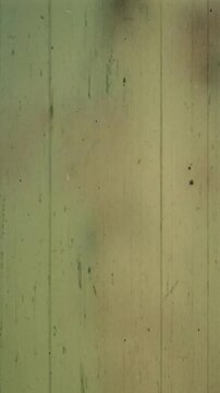 Old film strip with vertical scratches, small black spots, and dust marks. It has a soft greenish-yellow tone with light leaks