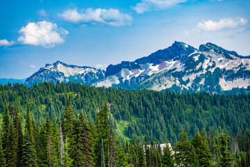 Forest nature with mount. Nature in mountain countryside. Scenery landscape of mountain. Scenery coniferous forest. Pine tree mountain landscape with forest. Mountain landscape. Travel destination