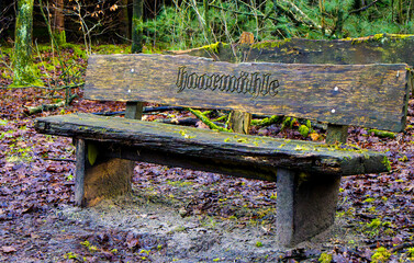 A rustic wooden bench in the forest, bearing the carved inscription “haarmühle.” Surrounded by...