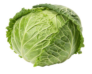 A round green cabbage with tightly packed, crinkled leaves and a fresh stem. AI Generative 
