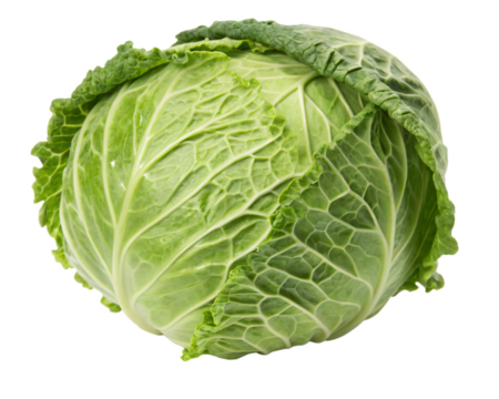 A round green cabbage with tightly packed, crinkled leaves and a fresh stem. AI Generative 