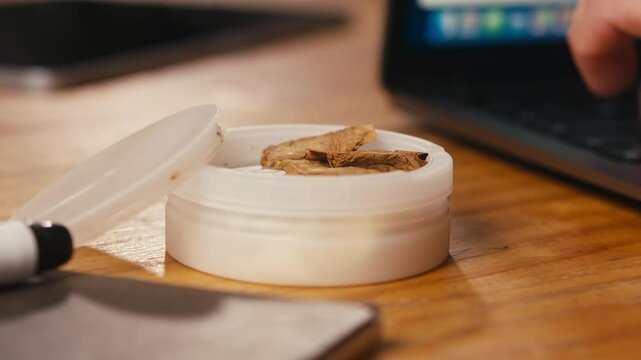 Snus nicotine tobacco close up, pack of tobacco for gum. unhealthy addiction. Man opening box with snus and taking one. 