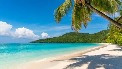 Tropical beach with crystal-clear water and palm trees, paradise travel destination
