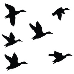 Simple black silhouettes of ducks soaring through the air against a pure white background