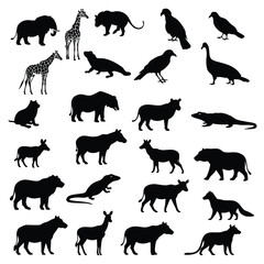 Obraz premium a collection of various wild animal silhouettes, in black on a white background