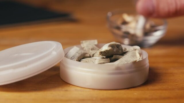 Snus nicotine tobacco close up, pack of tobacco for gum. unhealthy addiction. Man opening box with snus and taking one. 