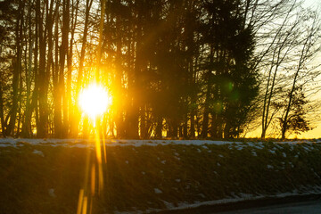 sun between trees © rob