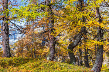 Fototapeta premium autumnal mountain landscape inside the Alpe Devero, Val D'Ossola, Verbania, Italia