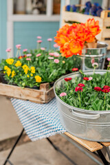 Flower fair in spring. Bouquets of flowers, tulips