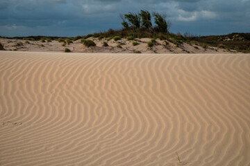 USA, Texas, Kenedy County. Laguna Madre, sand dune