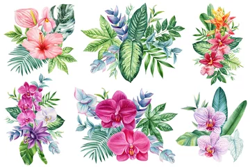 Fototapete Tropische Blätter tropical watercolor floral set with exotic orchids, hibiscus, anthurium and green leaves, botanical illustration design  © Hanna