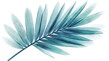 Fototapeta premium A zoomed-in photo of a palm leaf against a white backdrop, with a slight blue hue on the left side