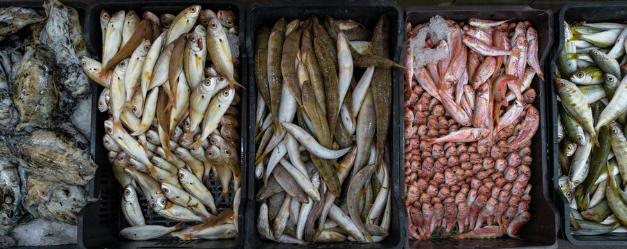 Fish market of Tripoli in Libya