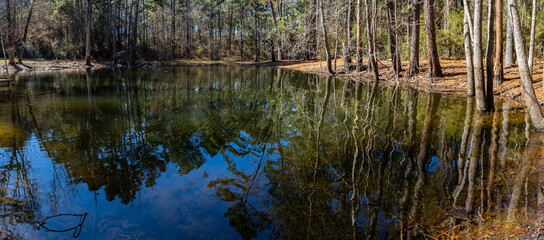 Colorful Pond Reflection