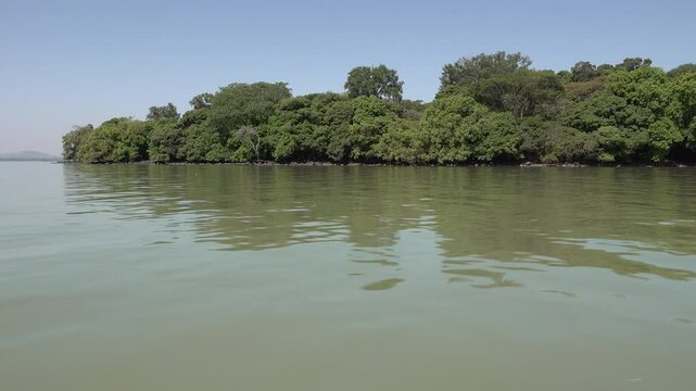 Sailing past forest of island at Lake Tana in Ethiopia
