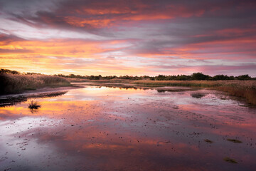 USA, New Jersey, Cape May National Seashore. Sunrise on marsh.